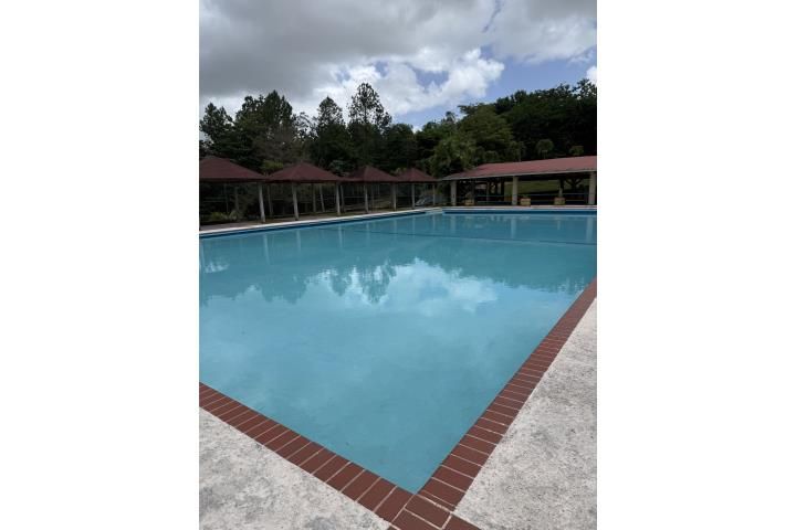La Muda Guaynabo 00971 PR