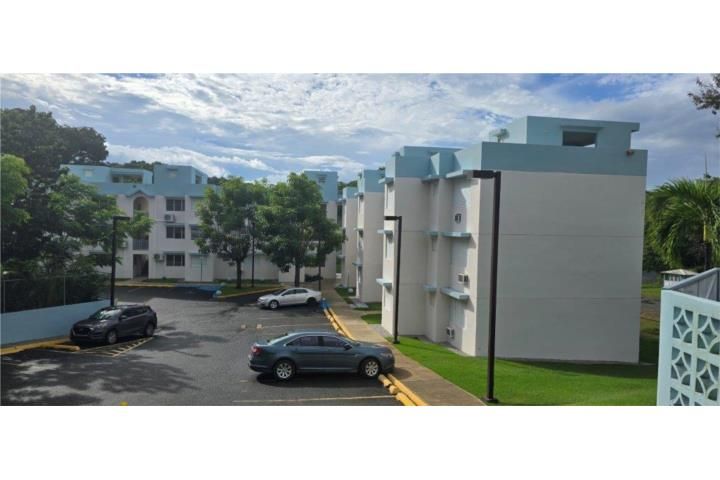 Cam Buye Cabo Rojo 00623 PR