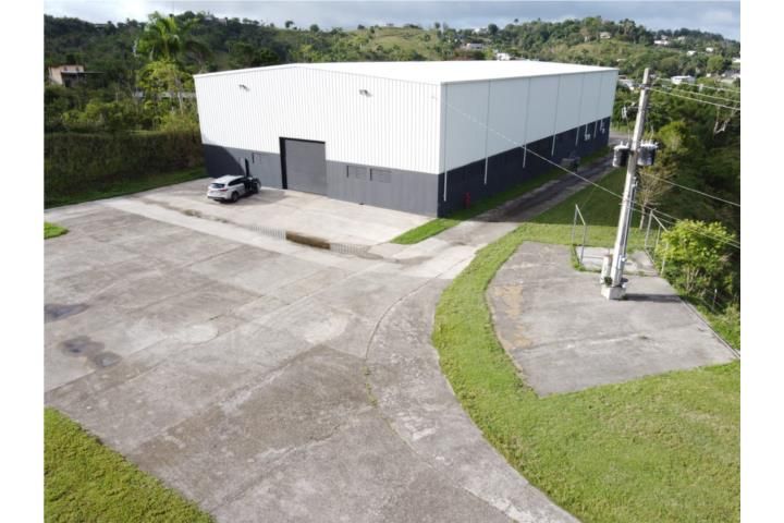 Cidra Cidra 00739 PR