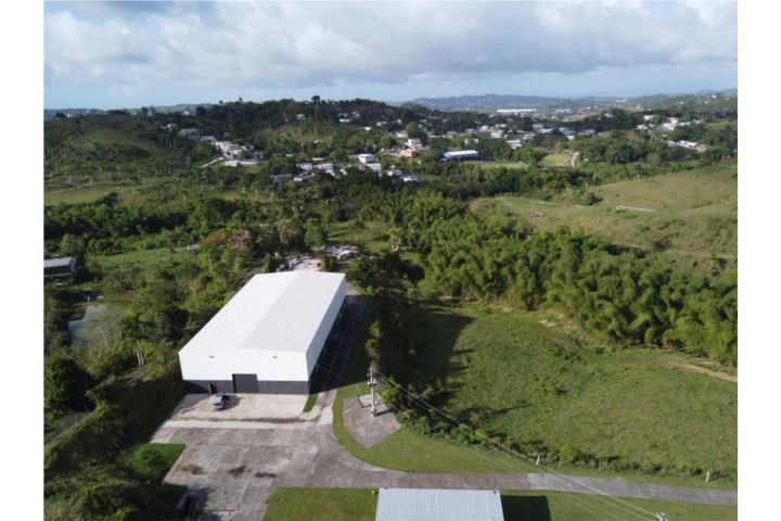 Cidra Cidra 00739 PR