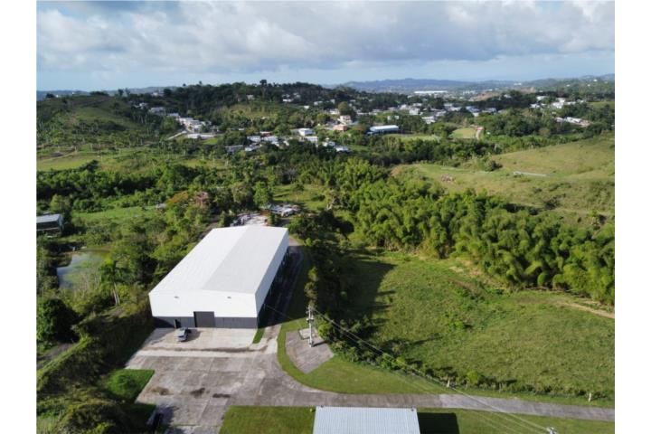 Cidra Cidra 00739 PR
