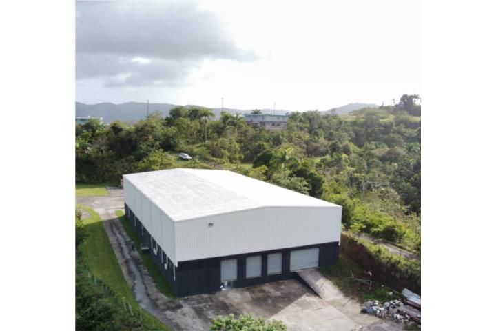 Cidra Cidra 00739 PR
