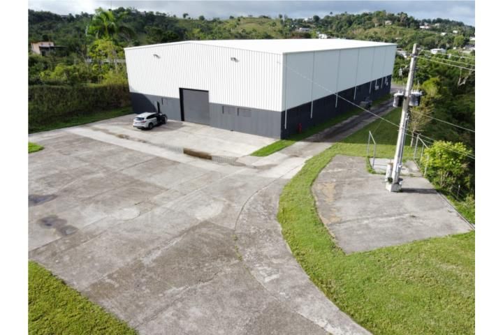 Cidra Cidra 00739 PR