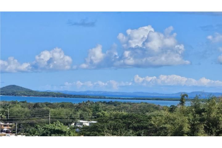 Ceiba Ceiba 00735 PR