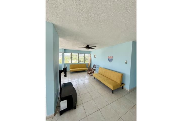 8qh2+63m Rincon 00677 PR