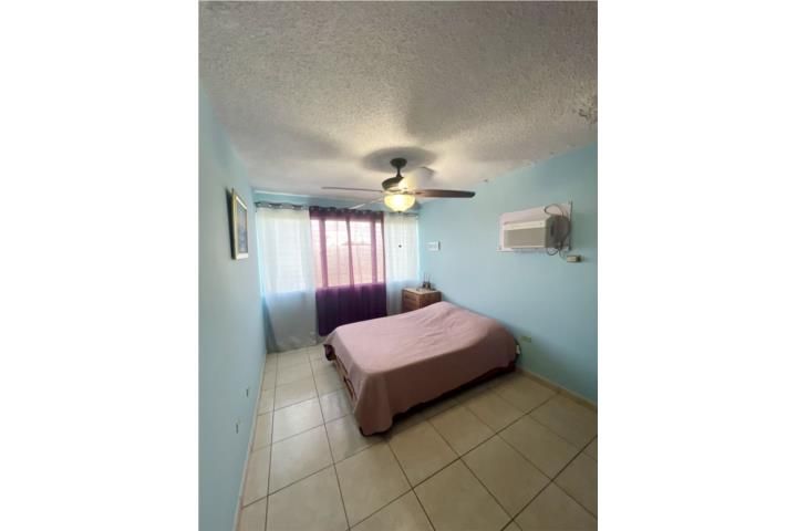8qh2+63m Rincon 00677 PR