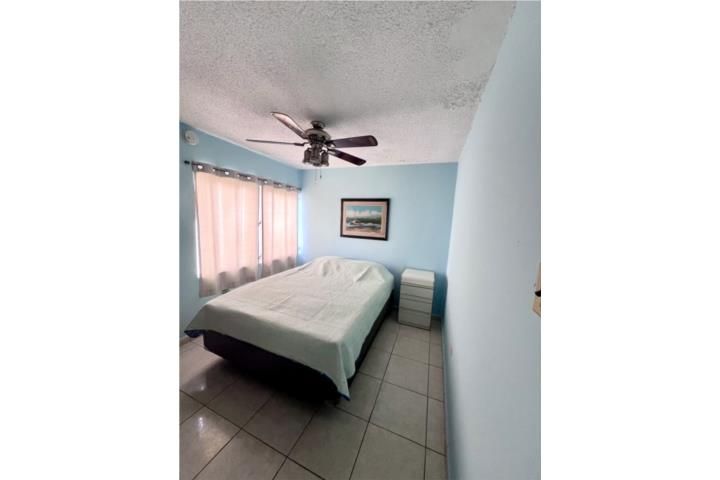8qh2+63m Rincon 00677 PR