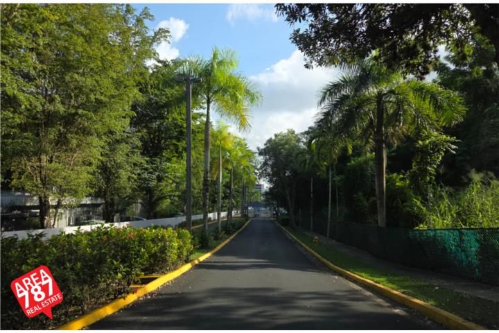 Colinas Del Bosque Bayamon 00961 PR