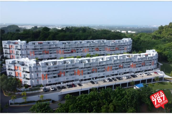 Colinas Del Bosque Bayamon 00961 PR