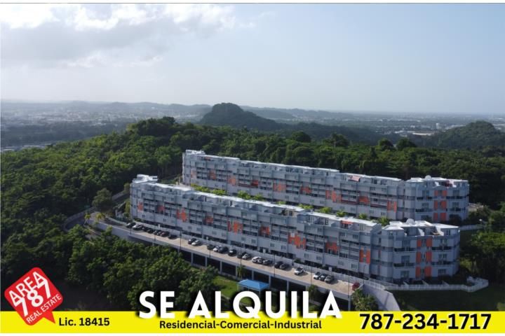 Colinas Del Bosque Bayamon 00961 PR