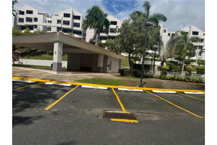 C. Zaya Verde Sur Bayamon 00959 PR