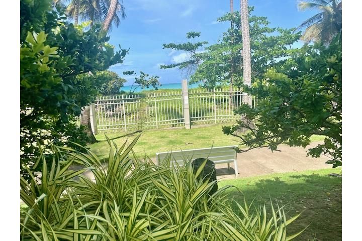 4745 Av. Isla Verde Carolina 00979 PR
