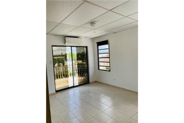 Muñoz Rivera Guaynabo 00969 PR