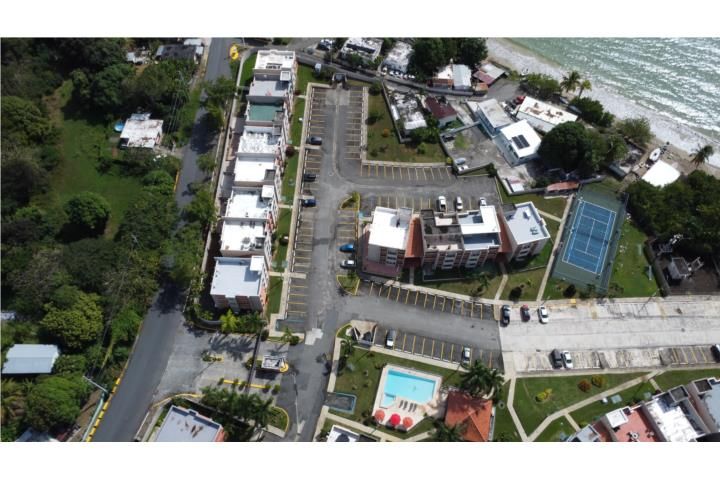 Pr-3 Km 66.7 Naguabo 00718 PR