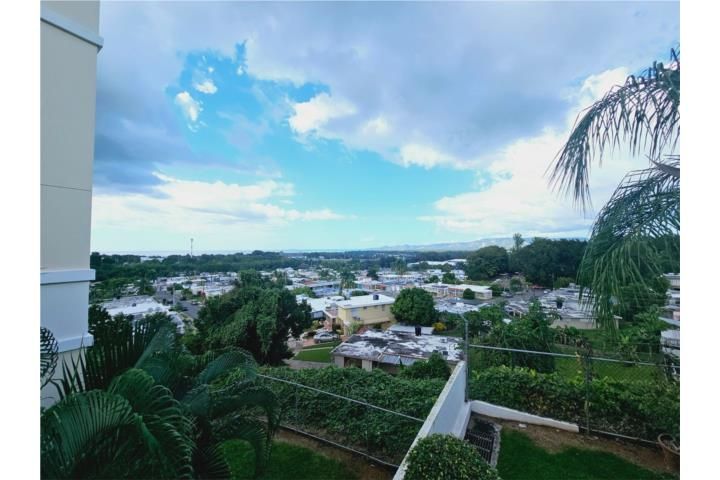 Calle Ricardo Cesoni Nieto Mayaguez 00682 PR