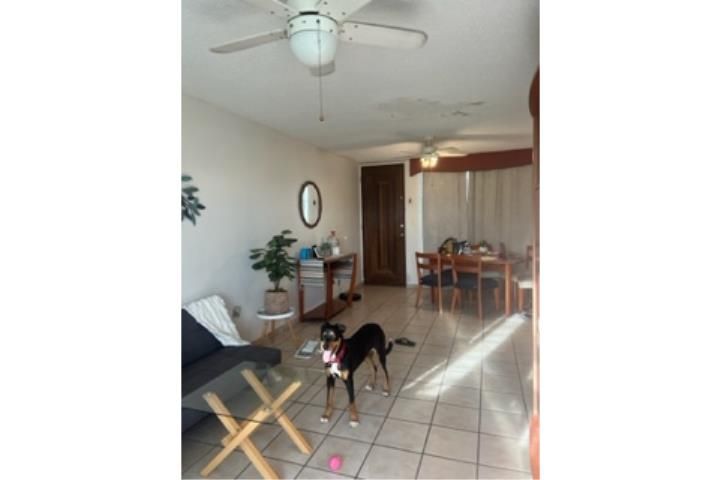 Western Lake Village A305 Mayaguez 00680 PR