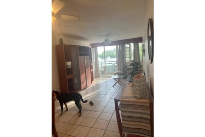 Western Lake Village A305 Mayaguez 00680 PR