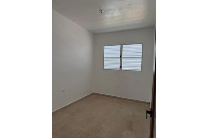 Malezas Mayaguez 00680 PR