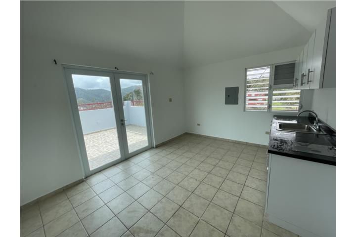 Cayey Cayey 00736 PR