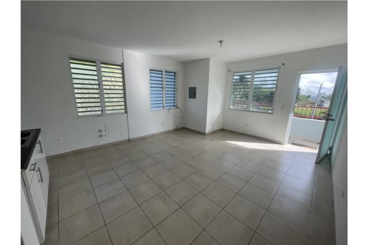 Cayey Cayey 00736 PR