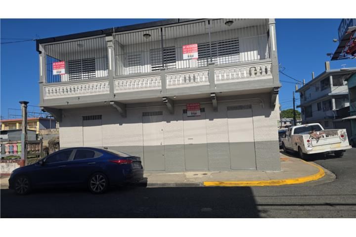 Calle Dr. Vadi Mayaguez 00680 PR