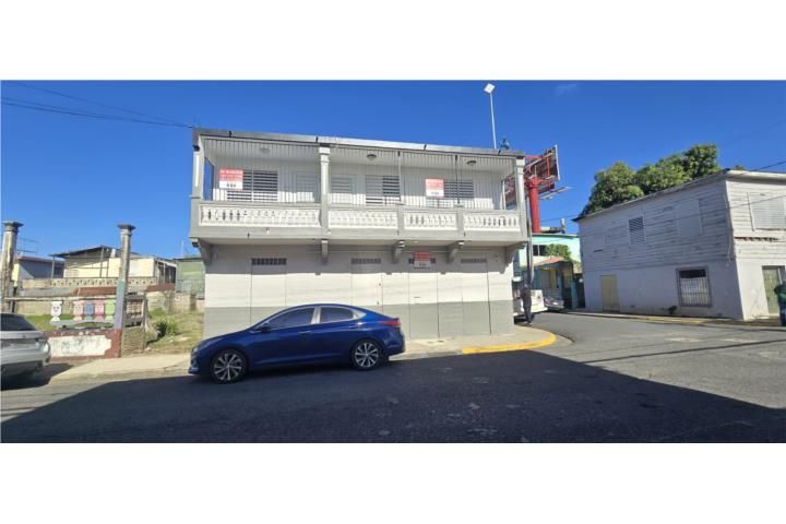 Calle Dr. Vadi Mayaguez 00680 PR