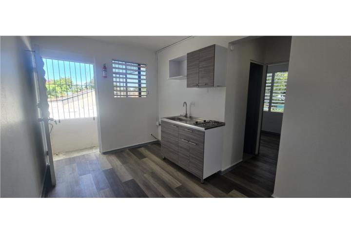 Calle Dr. Vadi Mayaguez 00680 PR