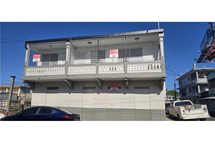 Calle Dr. Vadi Mayaguez 00680 PR
