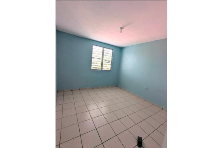 Tejas Las Piedras 00771 PR
