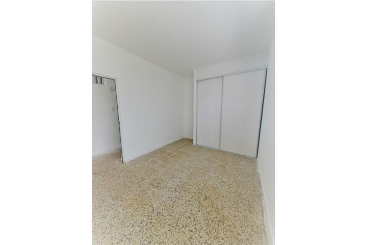 Aceitunas Moca 00676 PR
