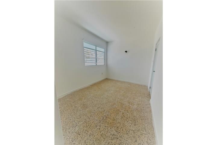 Aceitunas Moca 00676 PR