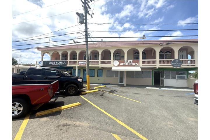 Ceiba Baja Aguadilla 00603 PR