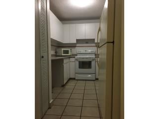 Western Lake Village A305 Mayaguez 00680 PR