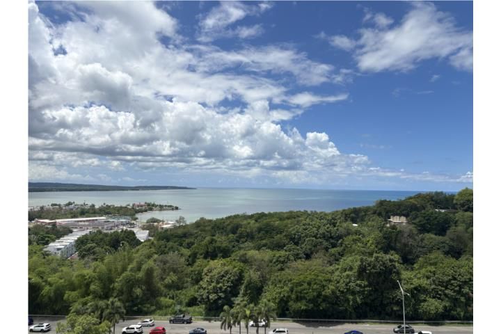 Unnamed Road Mayaguez 00682 PR