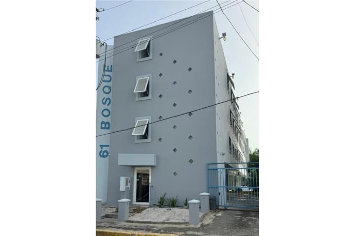 61 Calle Bosque Mayaguez 00680 PR