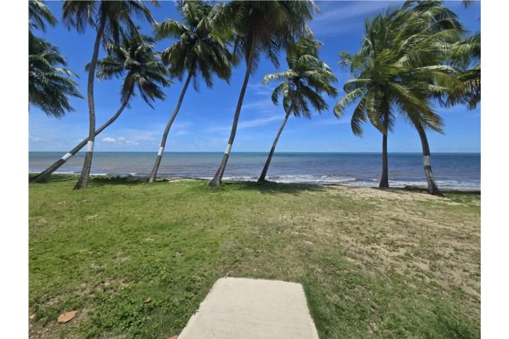 4rxf+989 Cabo Rojo 00623 PR