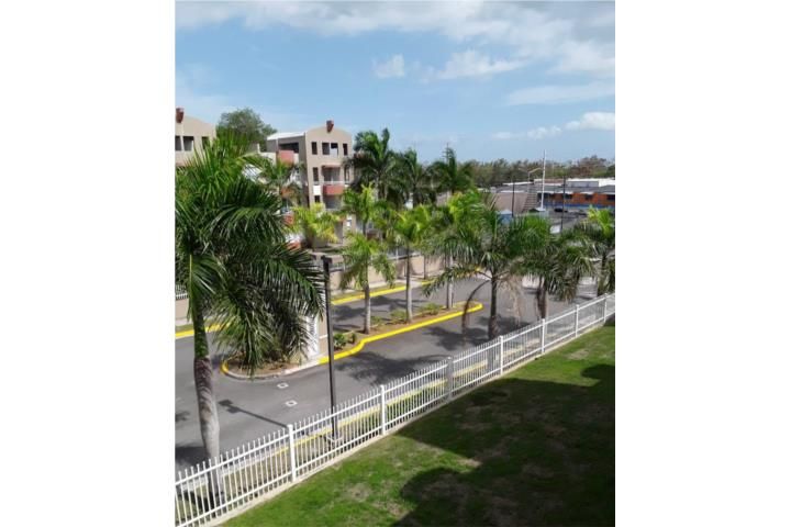 Algarrobos Mayaguez 00682 PR