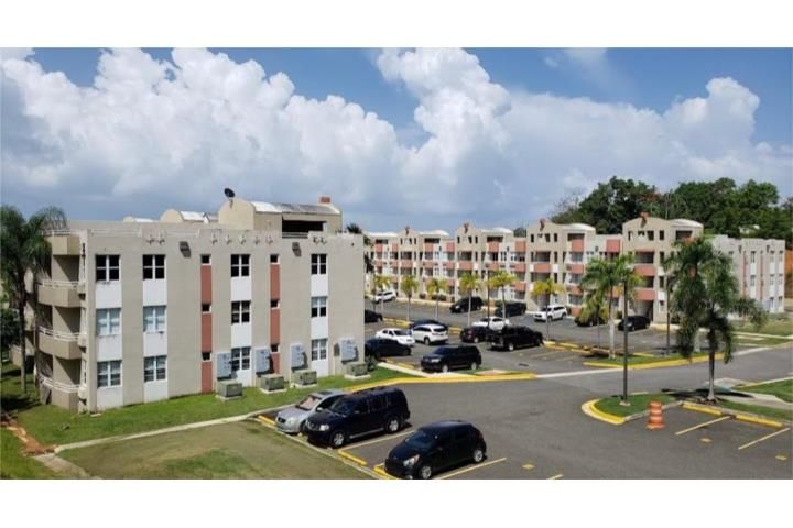 Algarrobos Mayaguez 00682 PR