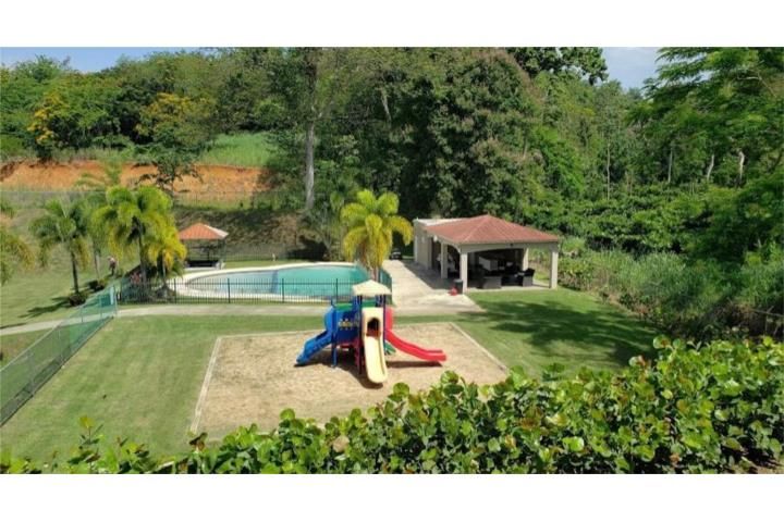 Algarrobos Mayaguez 00682 PR