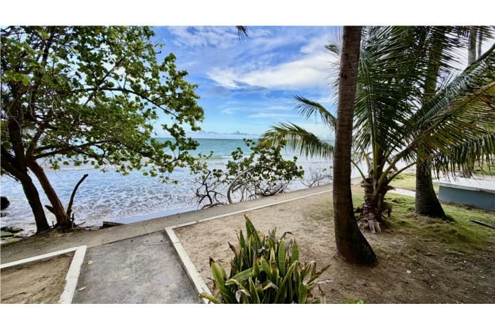 3409 Av. Isla Verde Carolina 00979 PR