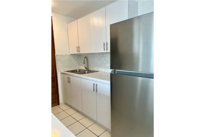 210 Av. José Oliver San Juan 00918 PR