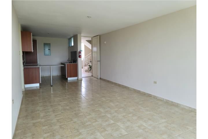 Fv7x+qh8 Aguadilla 00603 PR