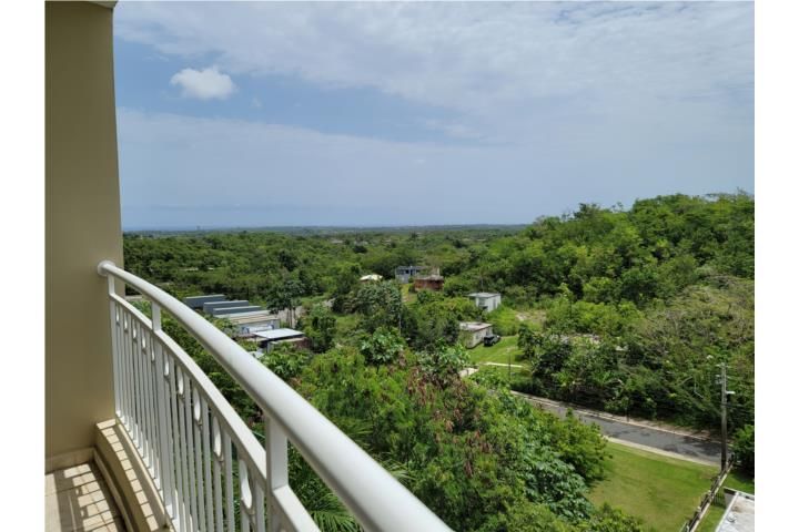 Fv7x+qh8 Aguadilla 00603 PR