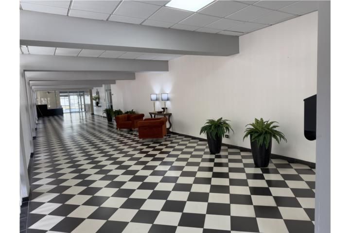 721 C. Hernández San Juan 00907 PR