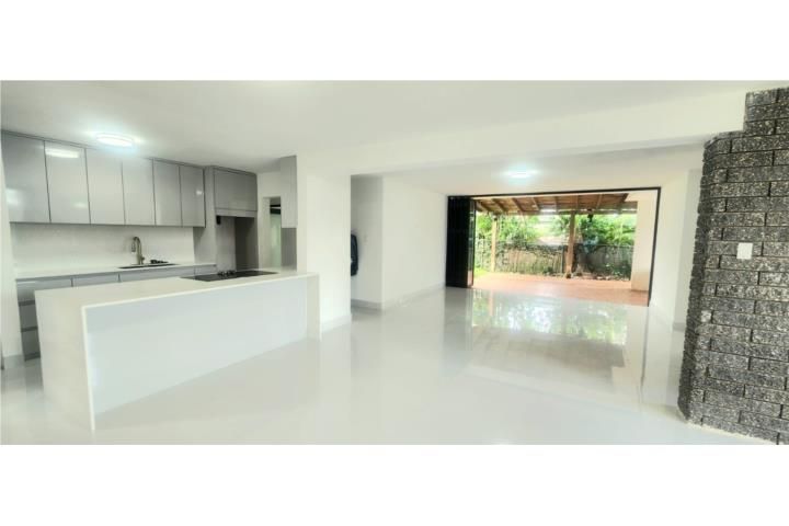 Parkville Guaynabo 00969 PR