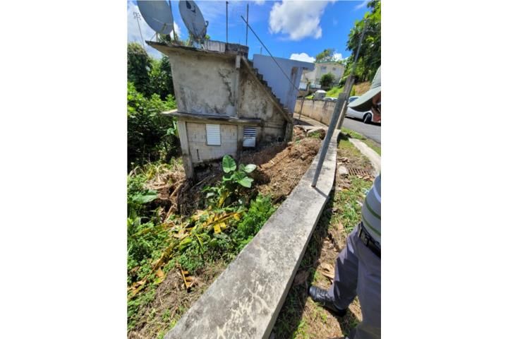 Cidra Cidra 00739 PR