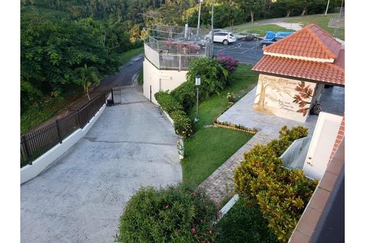Jaguas Gurabo 00778 PR