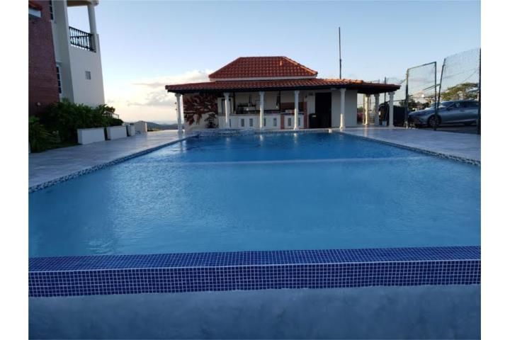 Jaguas Gurabo 00778 PR
