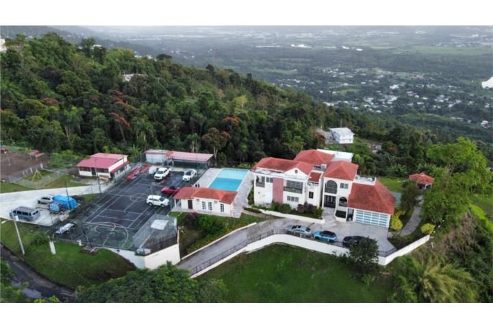 Jaguas Gurabo 00778 PR