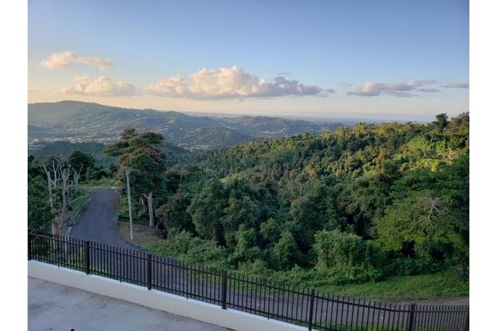 Jaguas Gurabo 00778 PR